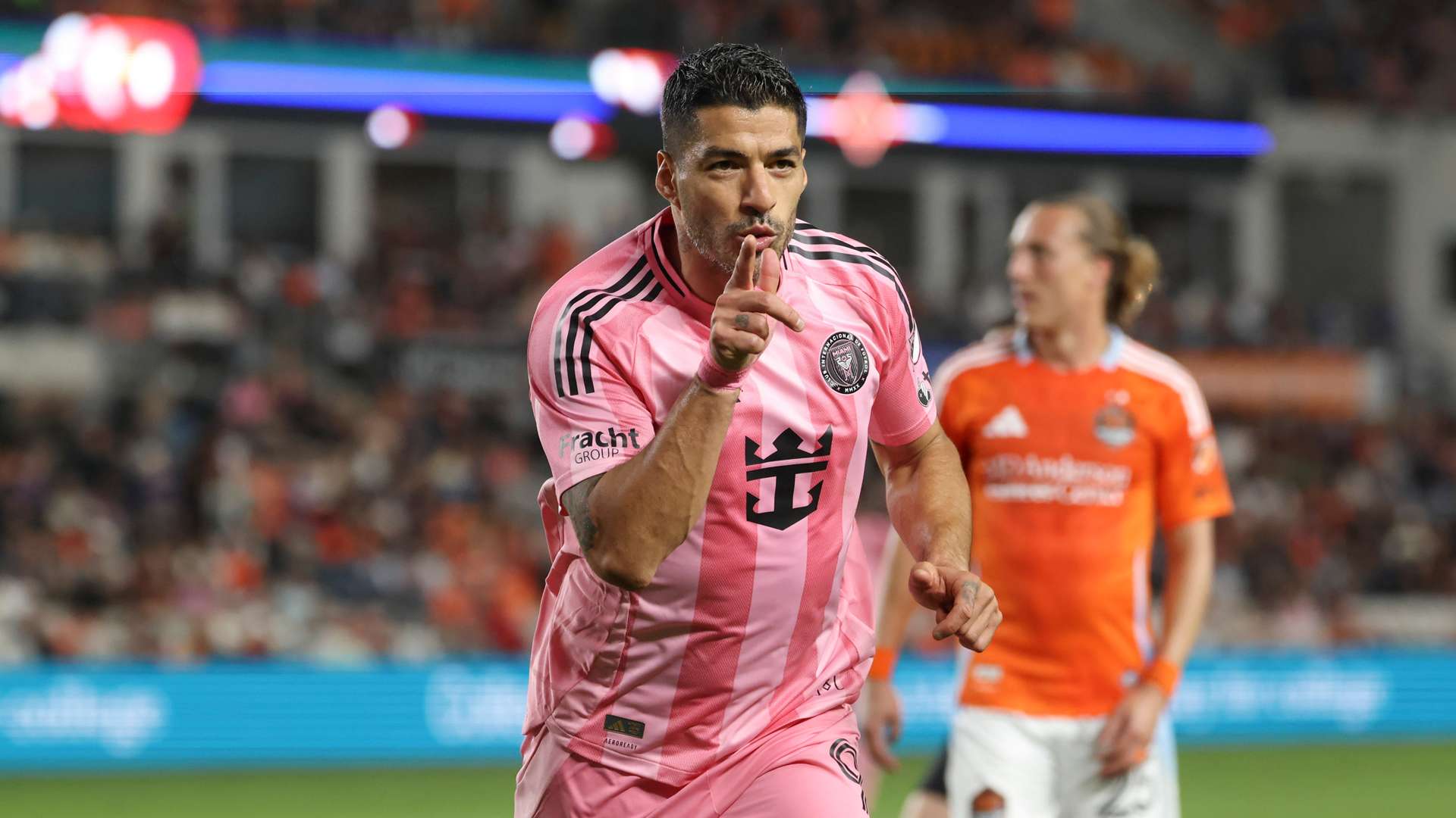 稳定大脑 稳定大脑