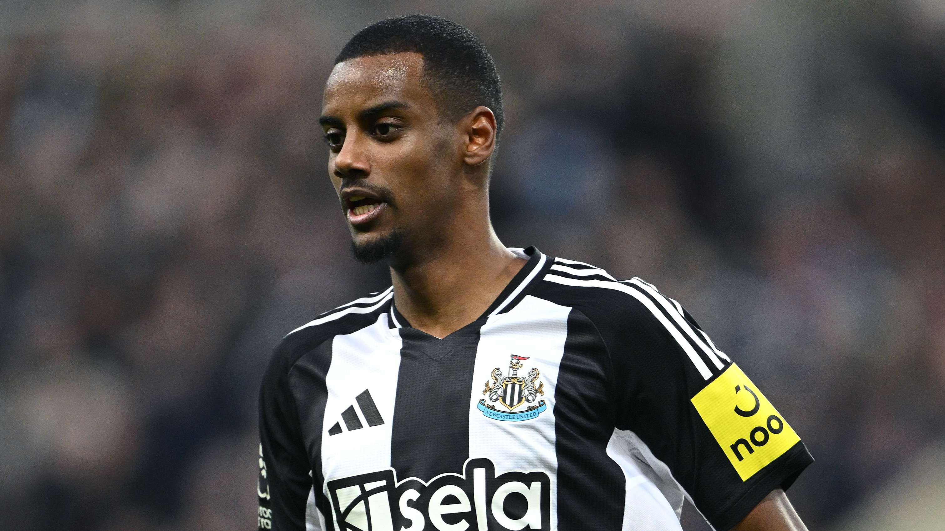 供了宝贵的 供了宝贵的